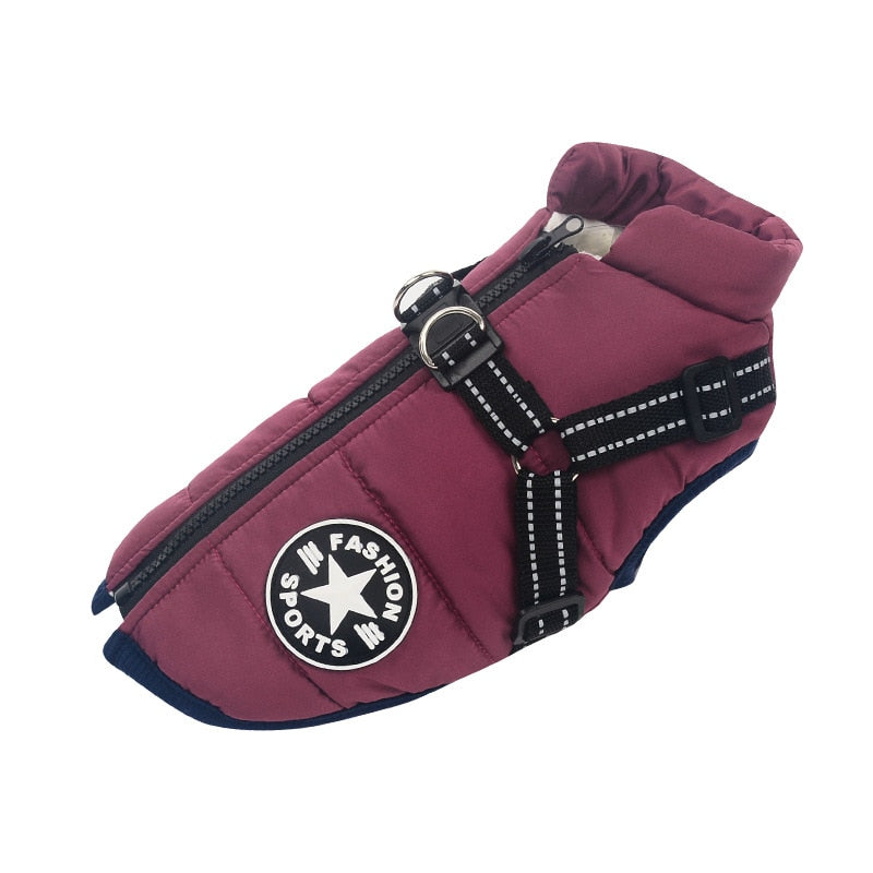 Dog Cold and Wet Protection – WarmPaws