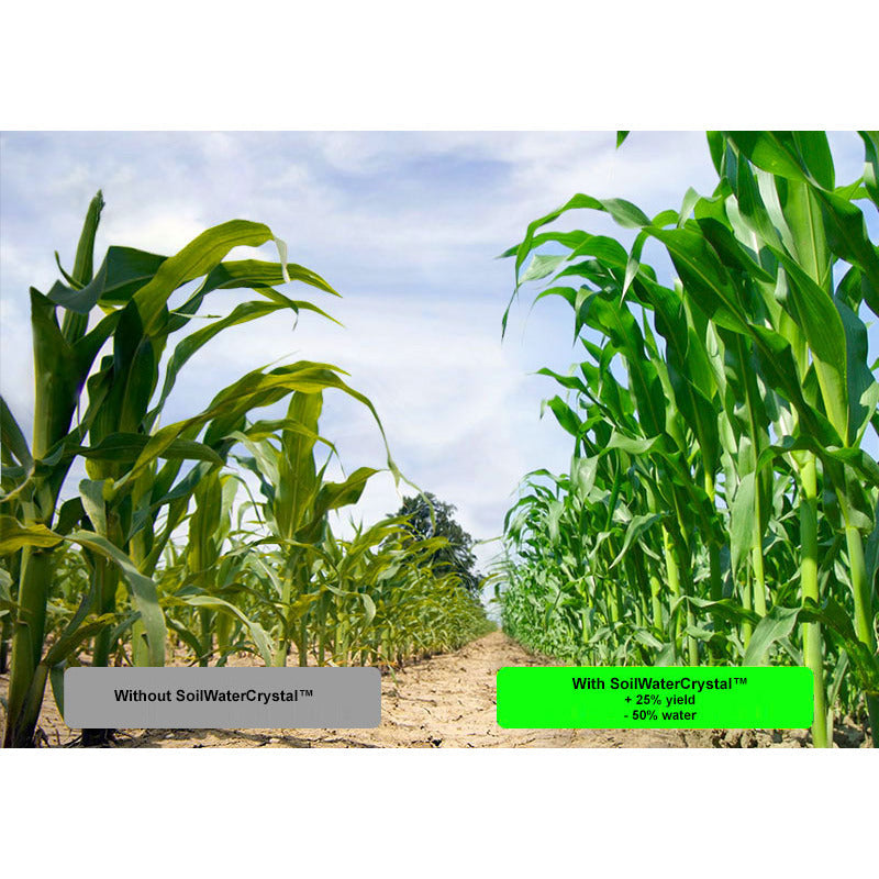 SoilWaterCrystal™  - Most Powerful Water Retaining Agent