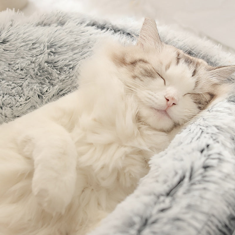 Cloofie™ – Plush Cave Bed for Cats (40% Off)