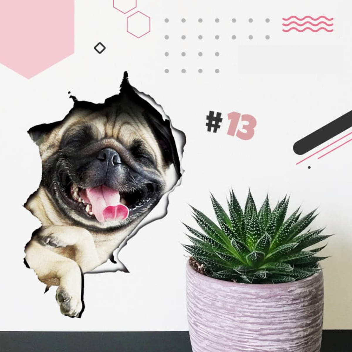 Cute 3D Wall Stickers Featuring Cats and Dogs