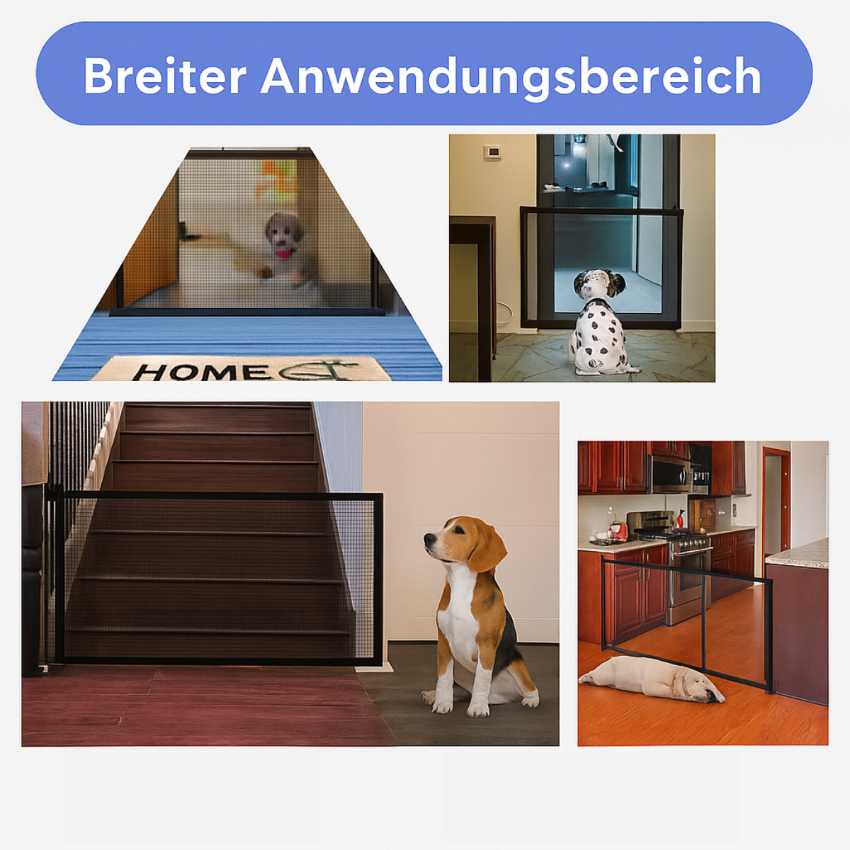 Foldable Safety Zone for Your Dog – SafePaws