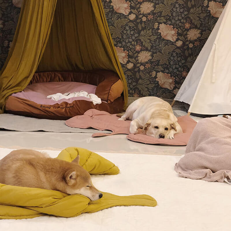 LUEPET™ Leaf Shape Dog Blanket