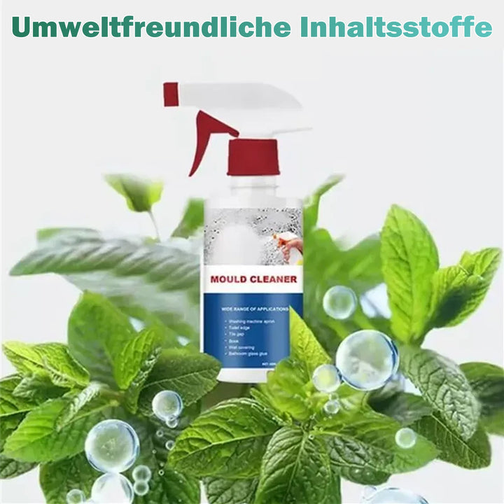 Mold Remover – Finally Free from Hazardous Mold