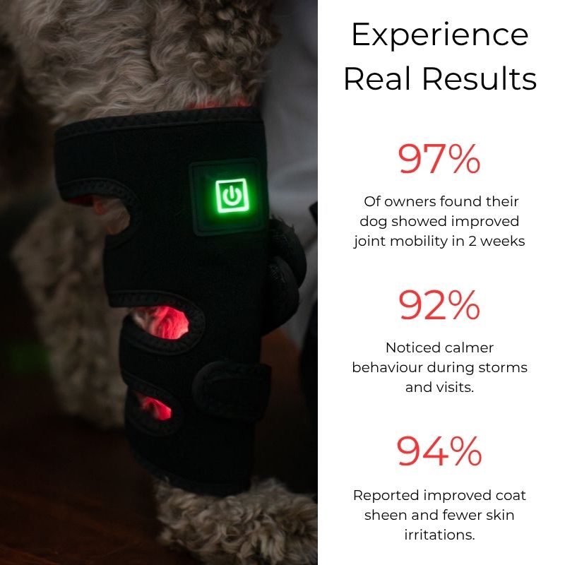 Joint Support Wrap for Dogs with Red Light Therapy