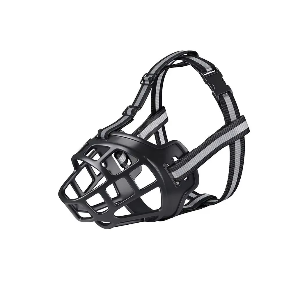 Enjoy Worry-Free Walks with Safety and Comfort