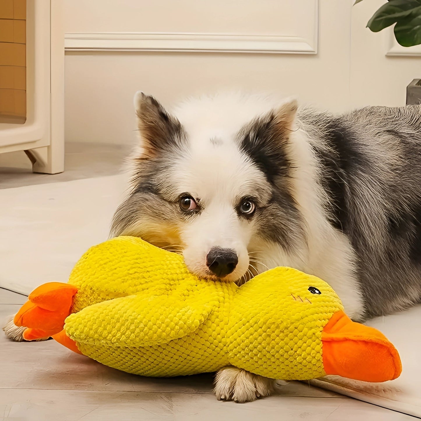 Large Soft Duck Plush Toy for Dogs – Durable with Quacking Sound