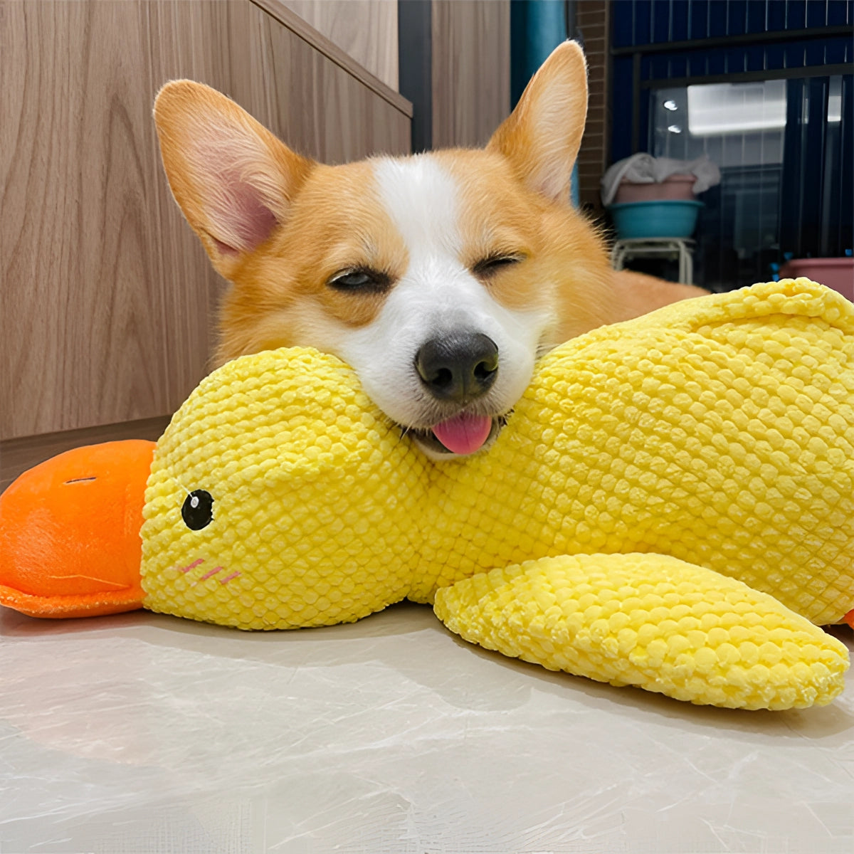 Large Soft Duck Plush Toy for Dogs – Durable with Quacking Sound