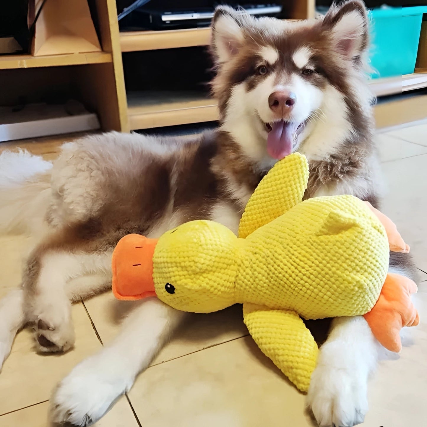Large Soft Duck Plush Toy for Dogs – Durable with Quacking Sound