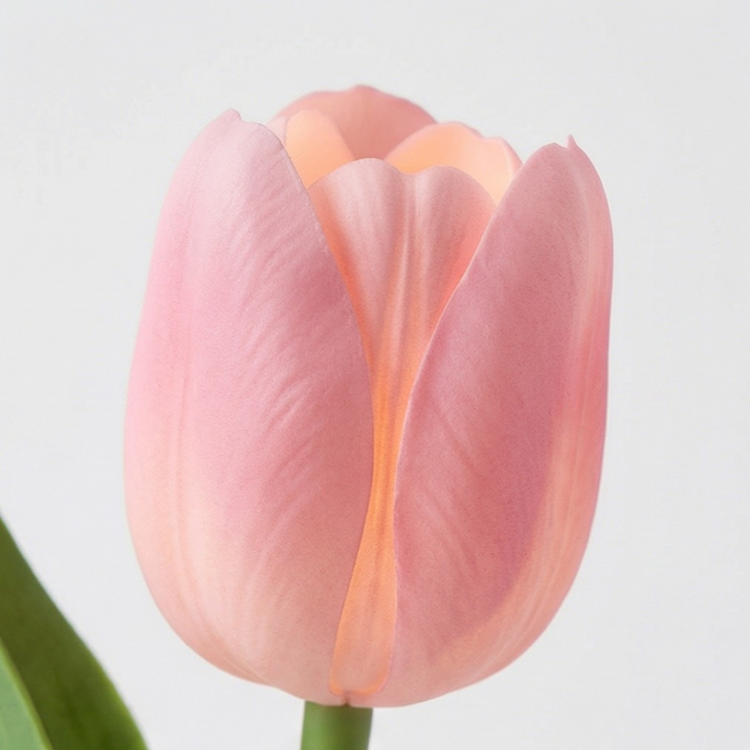 Bloomora™ – LED Tulip Lamp with Ceramic Vase