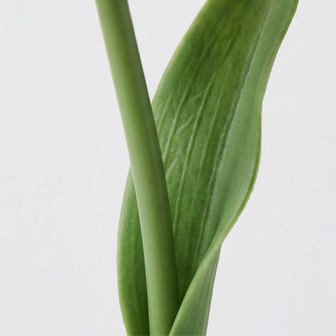 Bloomora™ – LED Tulip Lamp with Ceramic Vase