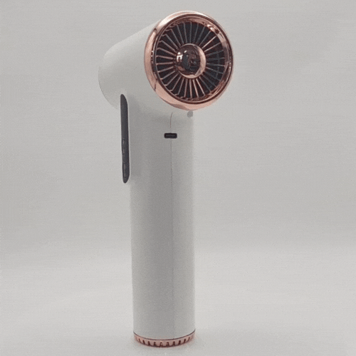 Royaleva Cordless Hair Dryer: 30,000 Rpm For Fast Drying