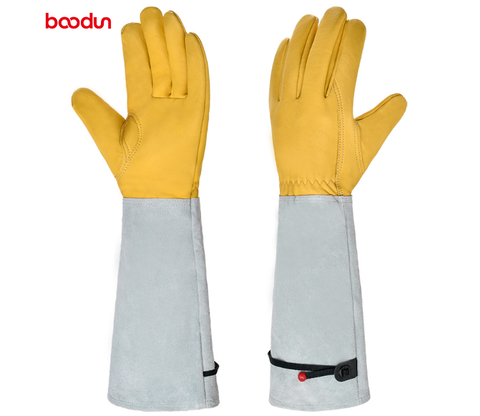 Hand Protection for Pain-Free Handling of Roses