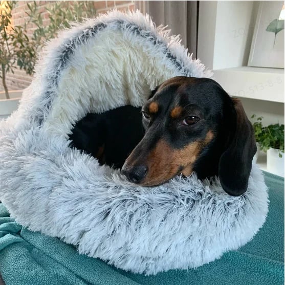 LunaNest™ — Cradle Your Pet in Soothing Warmth and Unshakable Calm