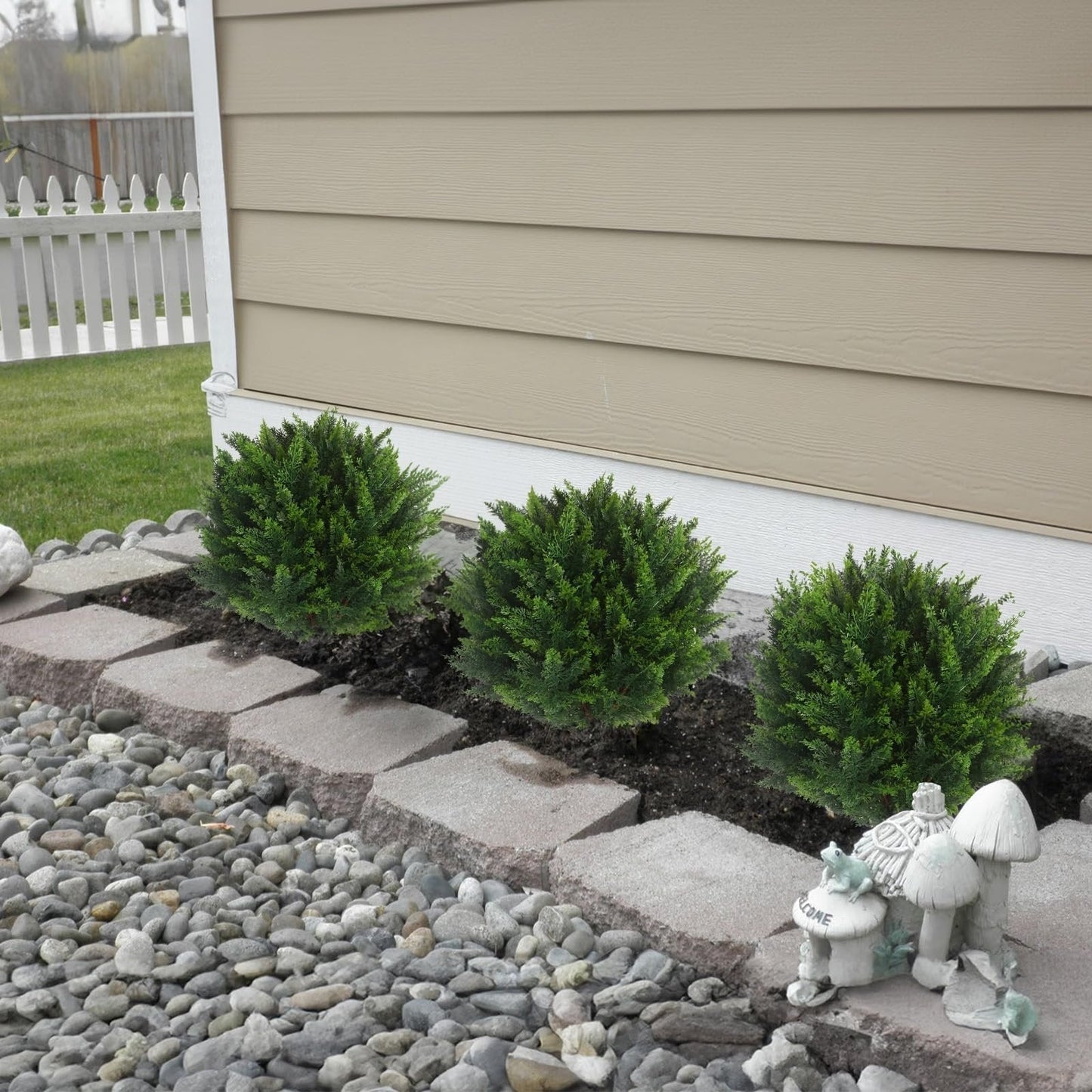EverGreen Cedar Tree – Outdoor Decorative Potted Plant