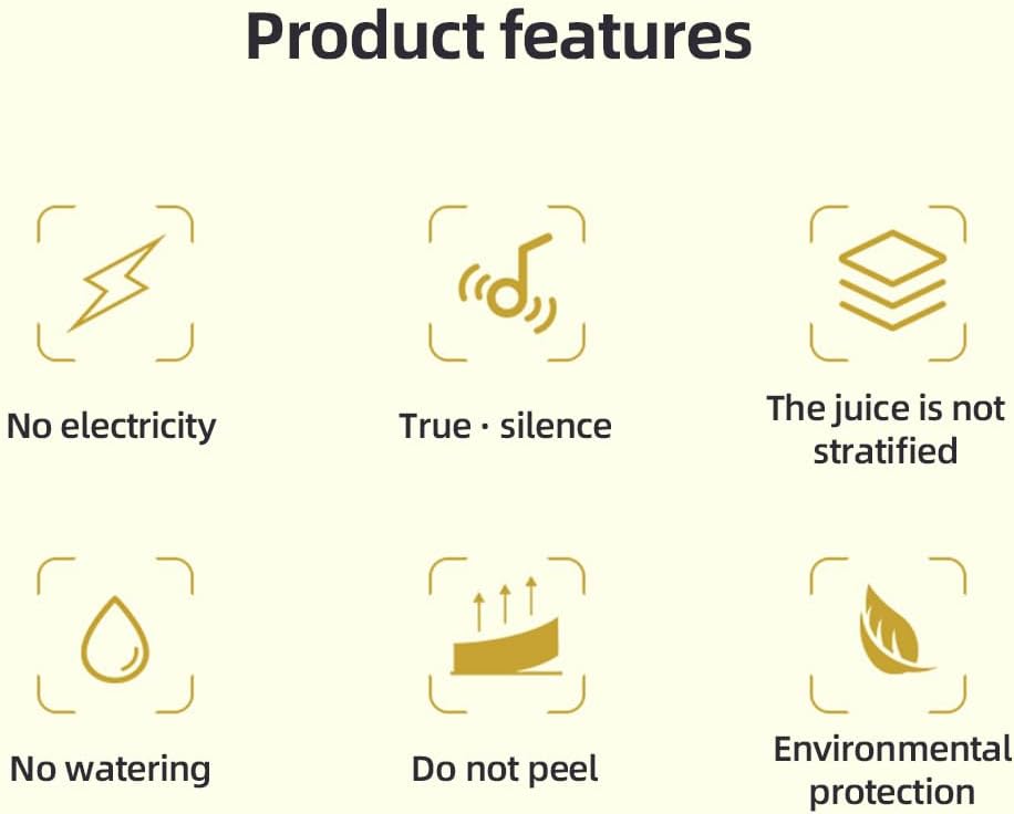 Citrus Juicer – Extract Every Last Drop of Juicy Freshness