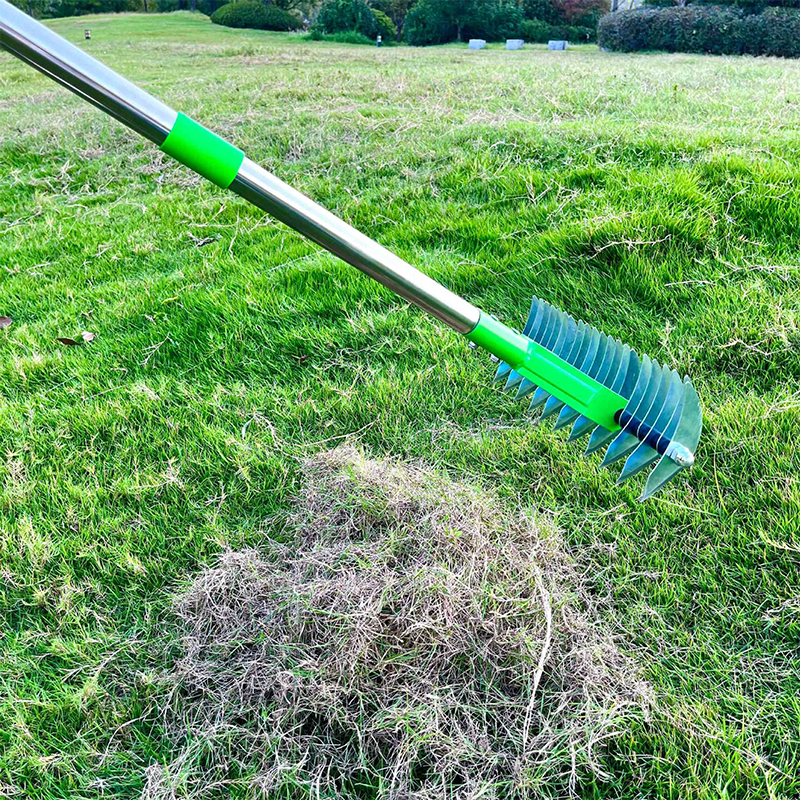 Lawn Revitalizer - Transform Your Soil into Lush, Vibrant Green Full of Strength