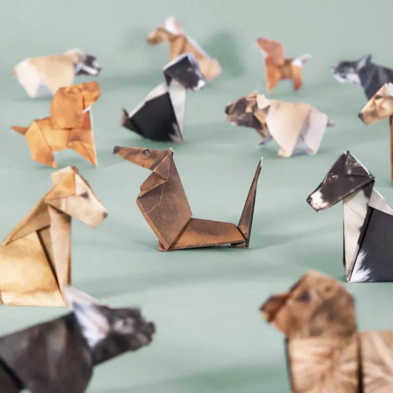 PaperPaws – A Cat Lover’s DIY Paradise
