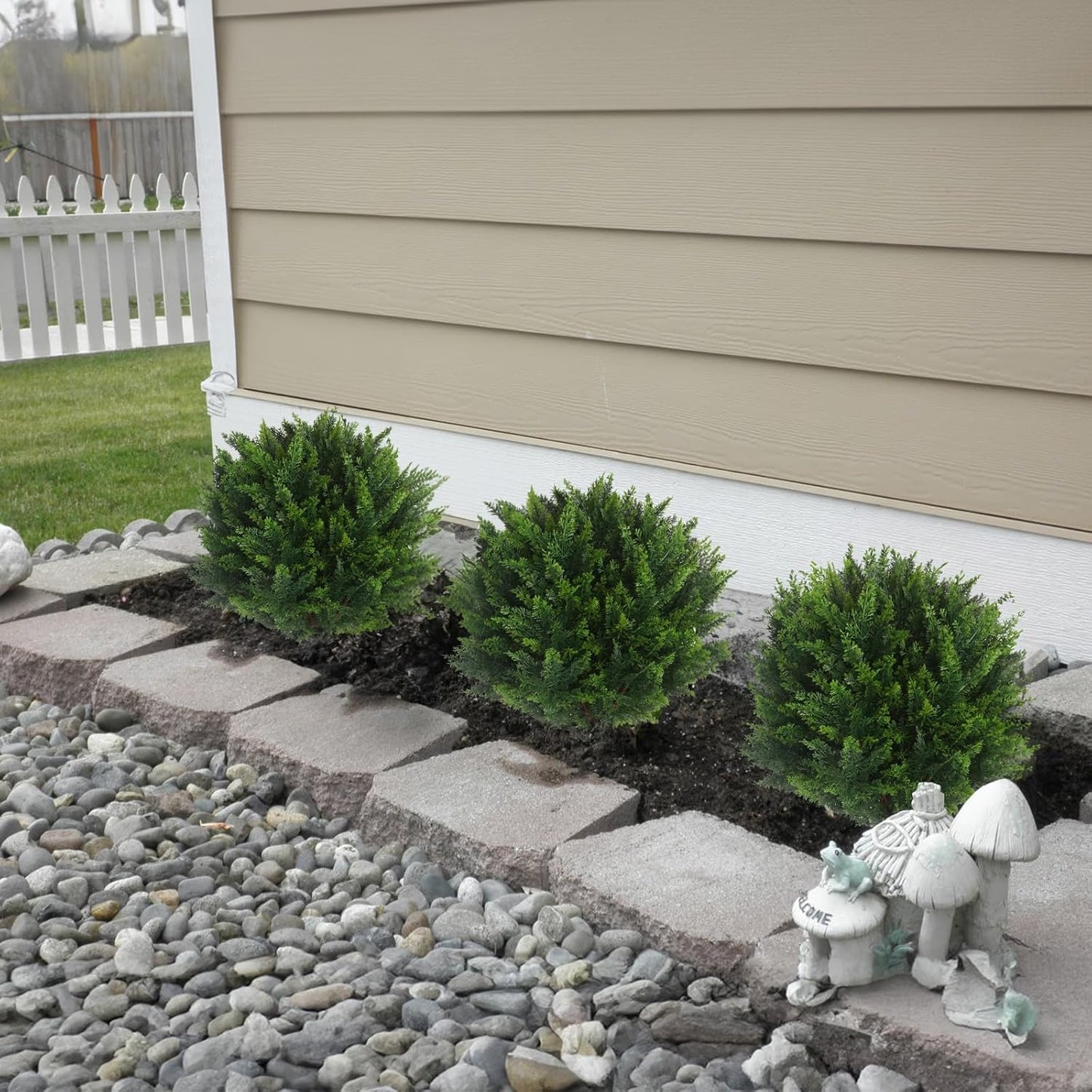 EverGreen Cedar Tree – Outdoor Decorative Potted Plant