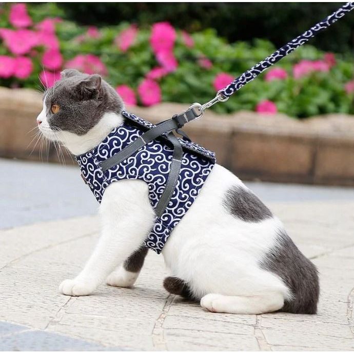 Cat Vest Harness and Leash Set