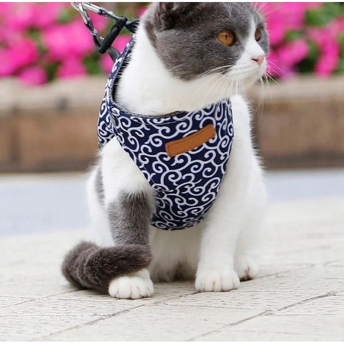 Cat Vest Harness and Leash Set