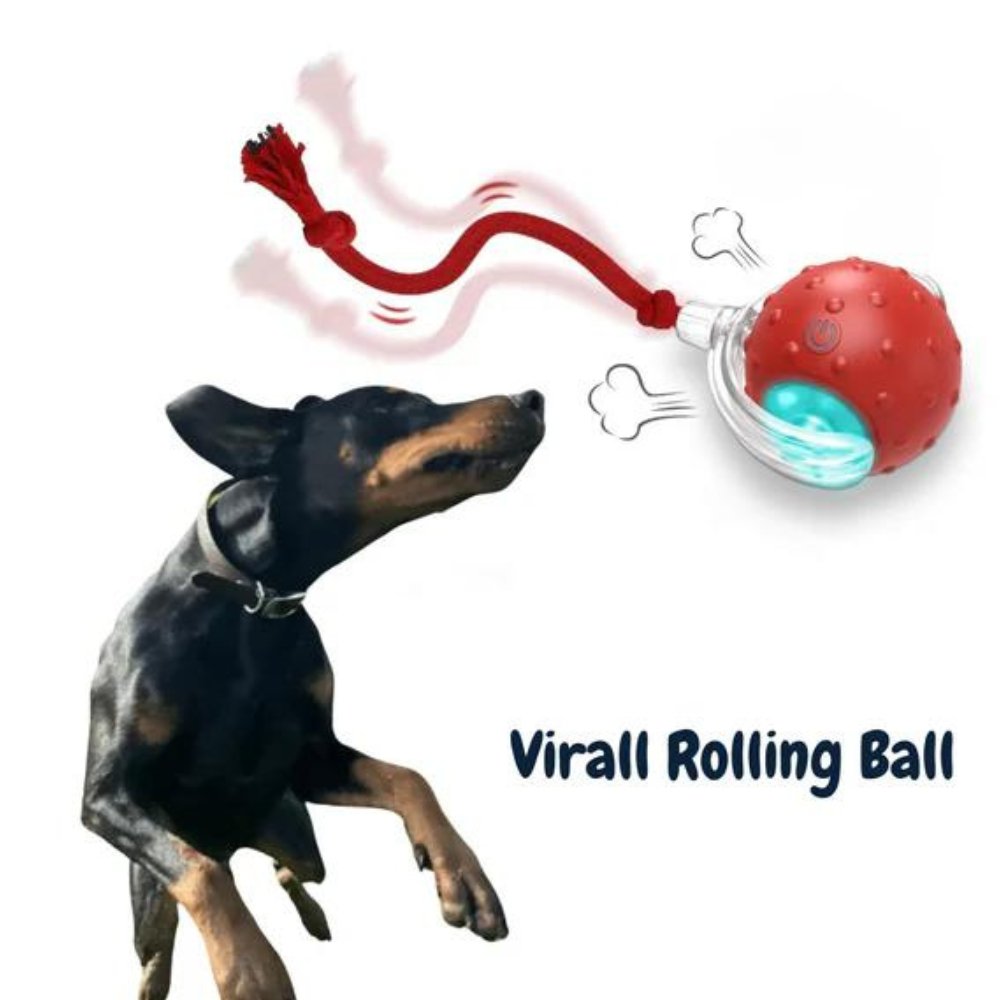 Interactive Rolling Ball Toy for Dogs – Anxiety Relief and Play