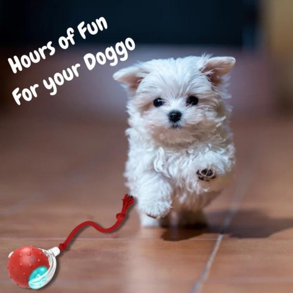 Interactive Rolling Ball Toy for Dogs – Anxiety Relief and Play