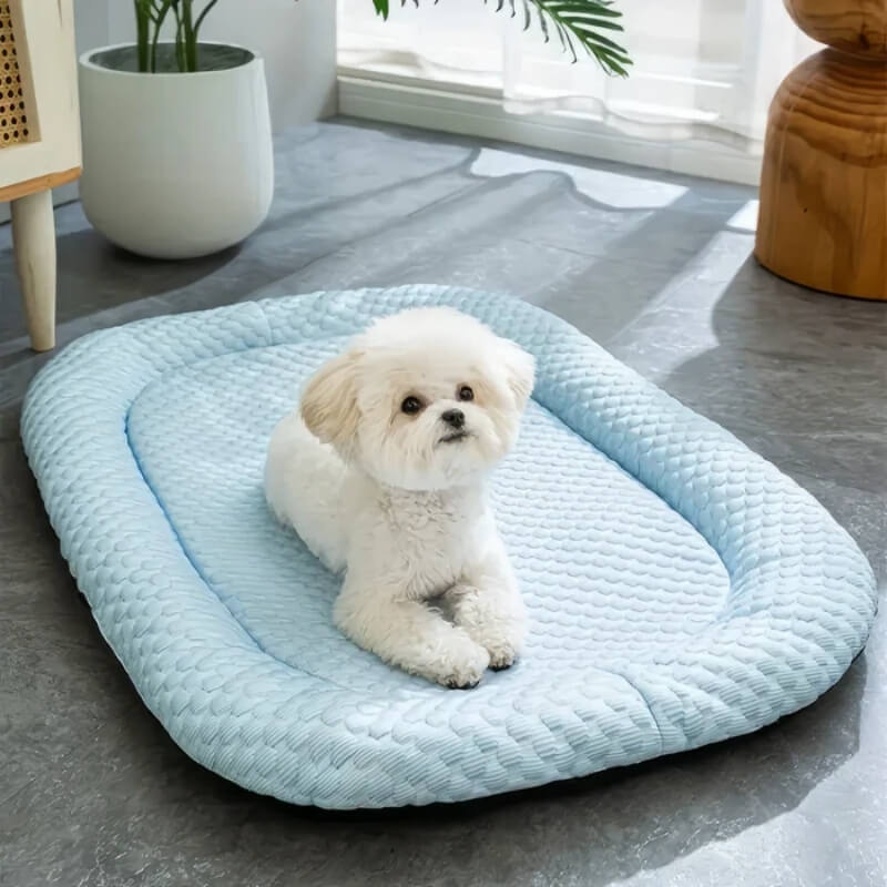 Cooling Dog Bed with Temperature Control for Warm Weather