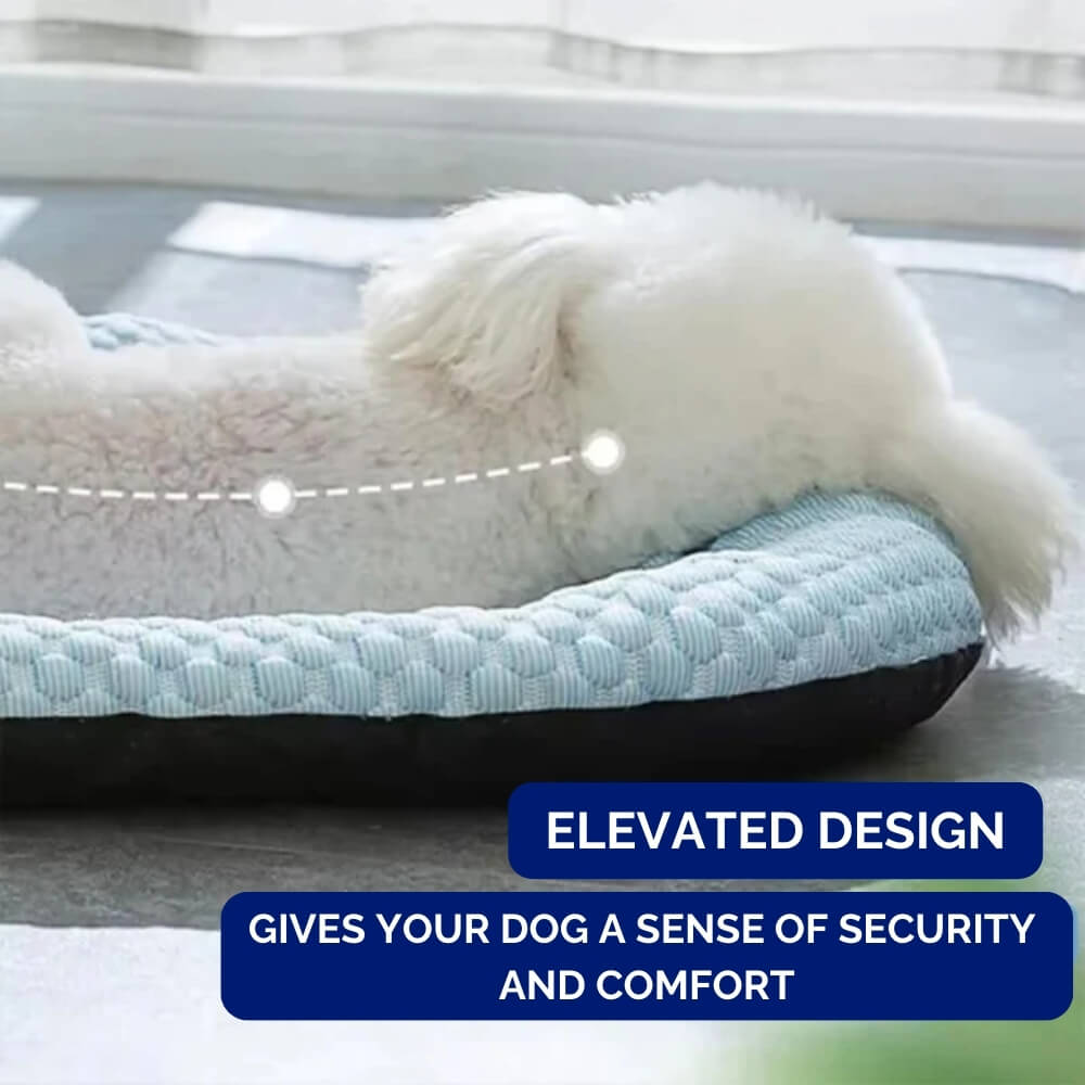 Cooling Dog Bed with Temperature Control for Warm Weather