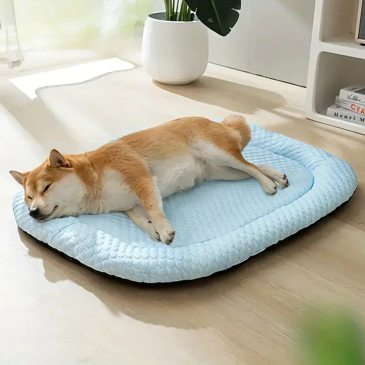 Cooling Dog Bed with Temperature Control for Warm Weather