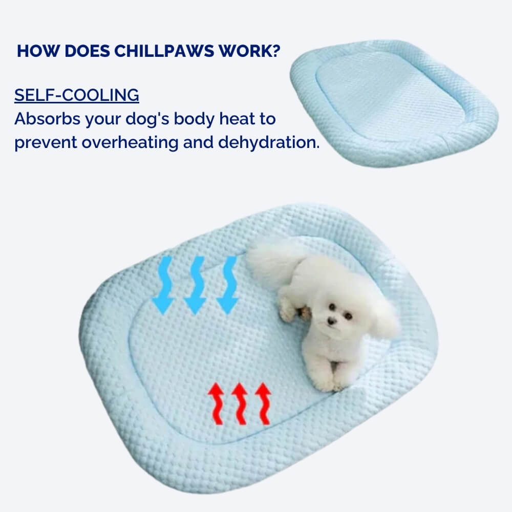 Cooling Dog Bed with Temperature Control for Warm Weather