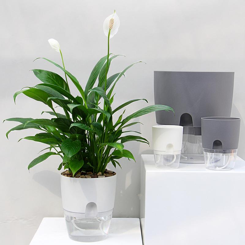Flower Planter | Self-Irrigating | Clean Watering System | AquaWick