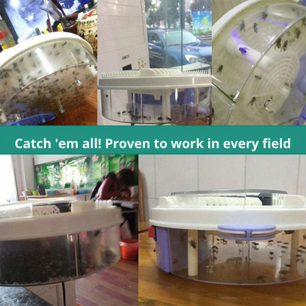 Fly Catcher | Quiet Insect Trap Without Chemicals | Bait Traps | SilentCatch
