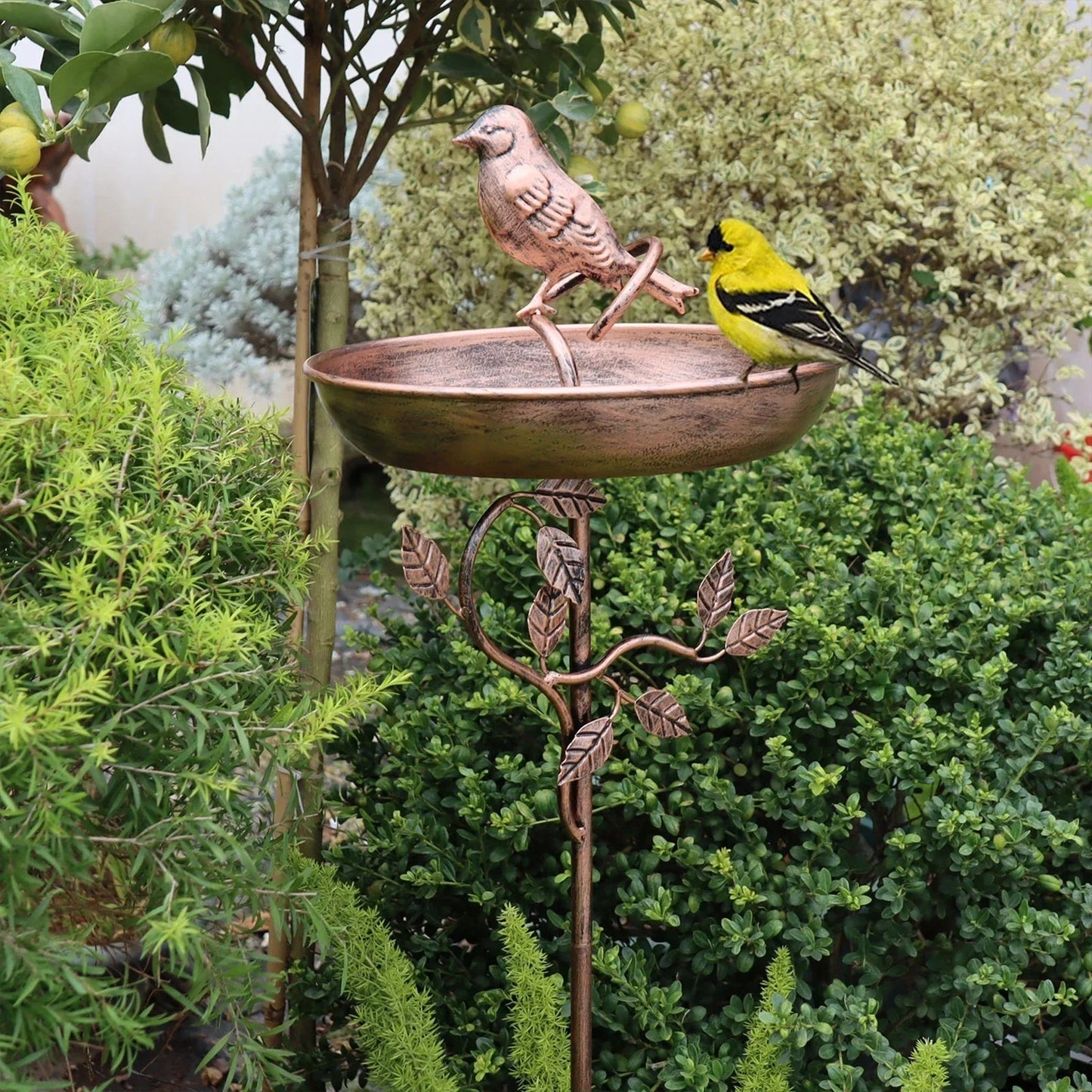Garden Bird Water Bowl | Ornamental Basin | Secure Spike | GardenShine