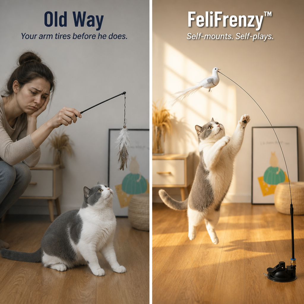FeliFrenzy™ — Stick It Down, Walk Away, Watch Your Cat Hunt for Hours