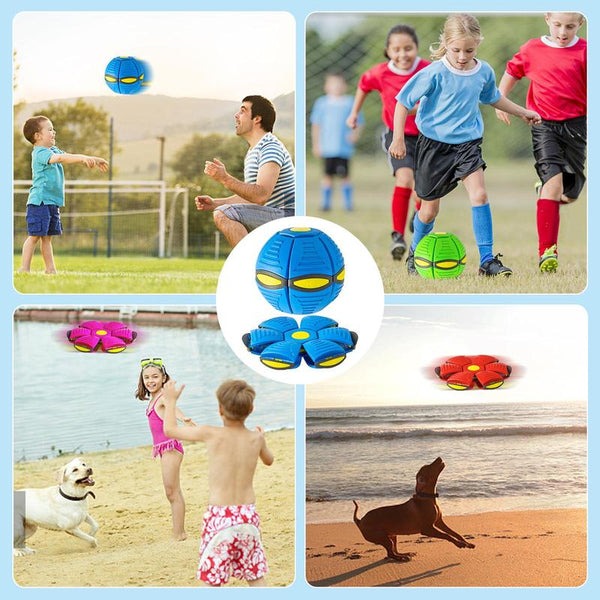 FlyMorph - Transforming Flying Disc & Ball Toy