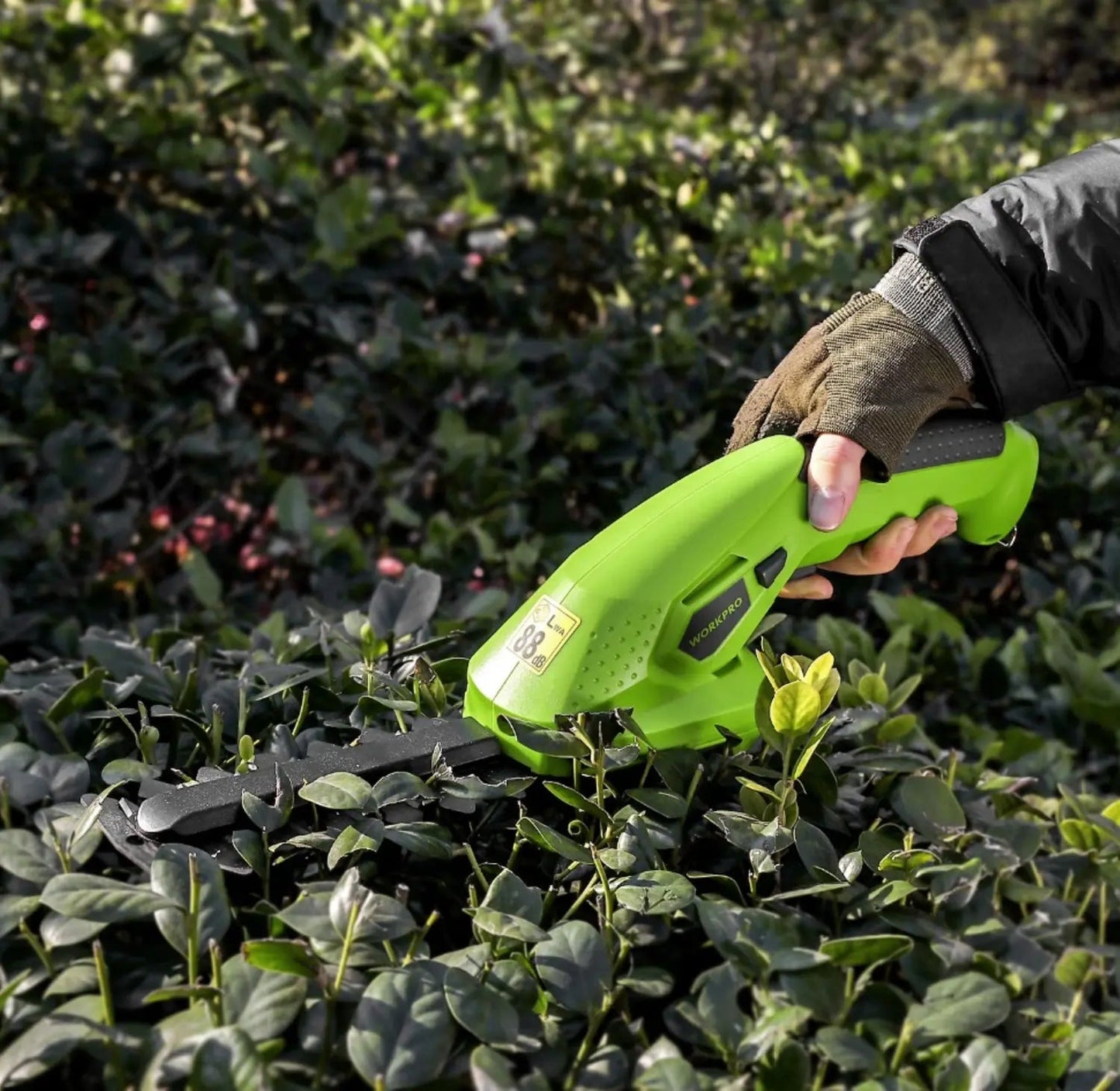 Hedge Clippers | Grass Trimmers | Accurate Shrub Pruning | GardenCut