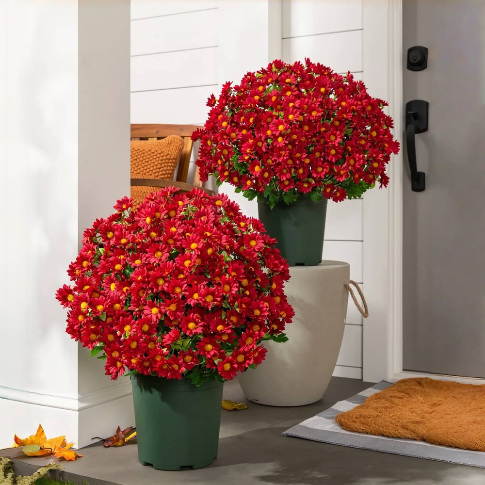 EverFall - Artificial Fall Mum Plant