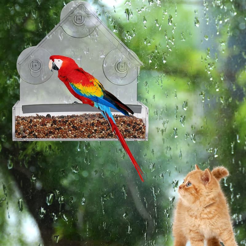 FeatherVibe — Clear Window Bird Feeder with Strong Suction Mount