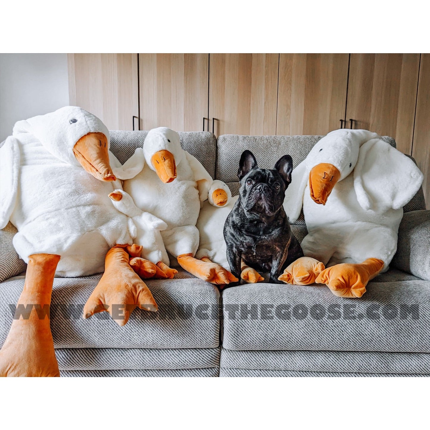 Bruce The Goose™ - Weighted Plushie