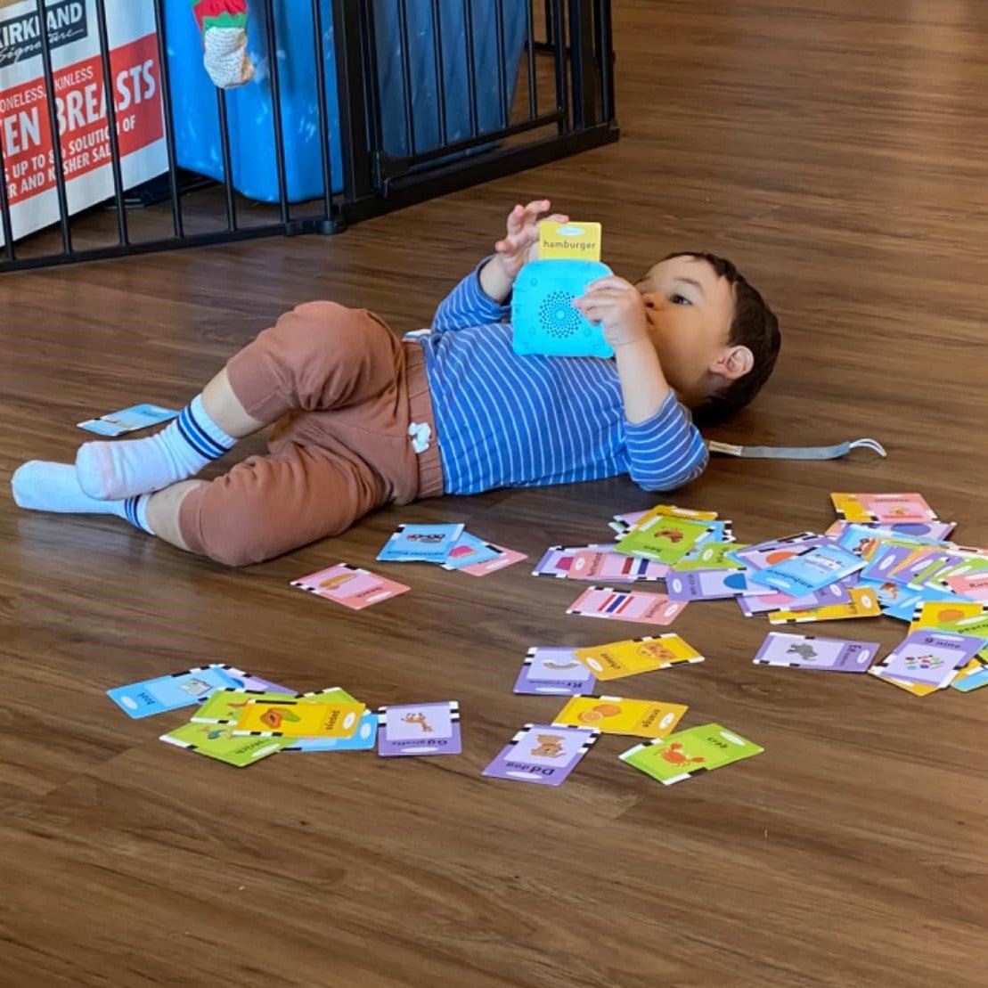 Educational Talking Flash Cards -  50% OFF TODAY - Skaldo & Malin