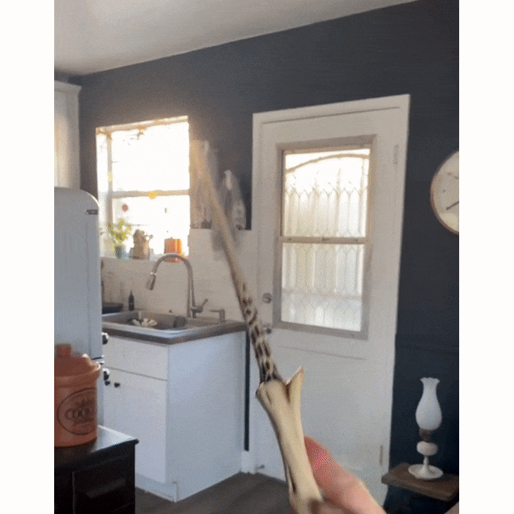 Magic Wand with Special Effects