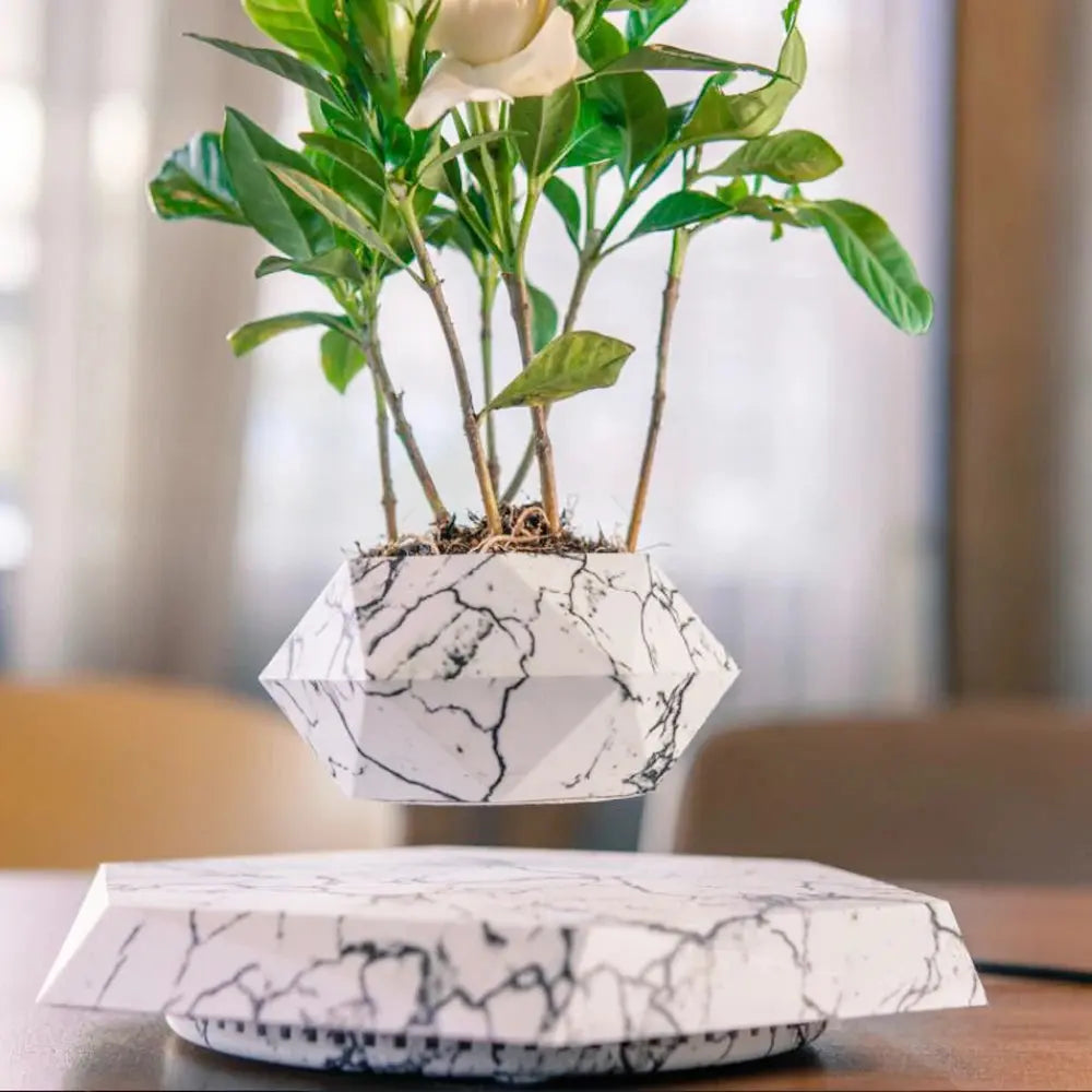 Flower Planter | 360° Rotatable | Artistic, Floating Style | AeroPlant