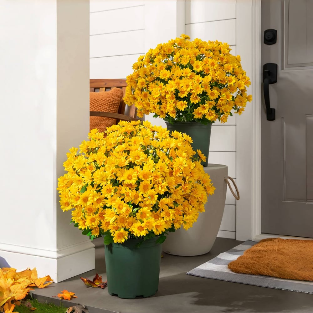 EverFall - Artificial Fall Mum Plant