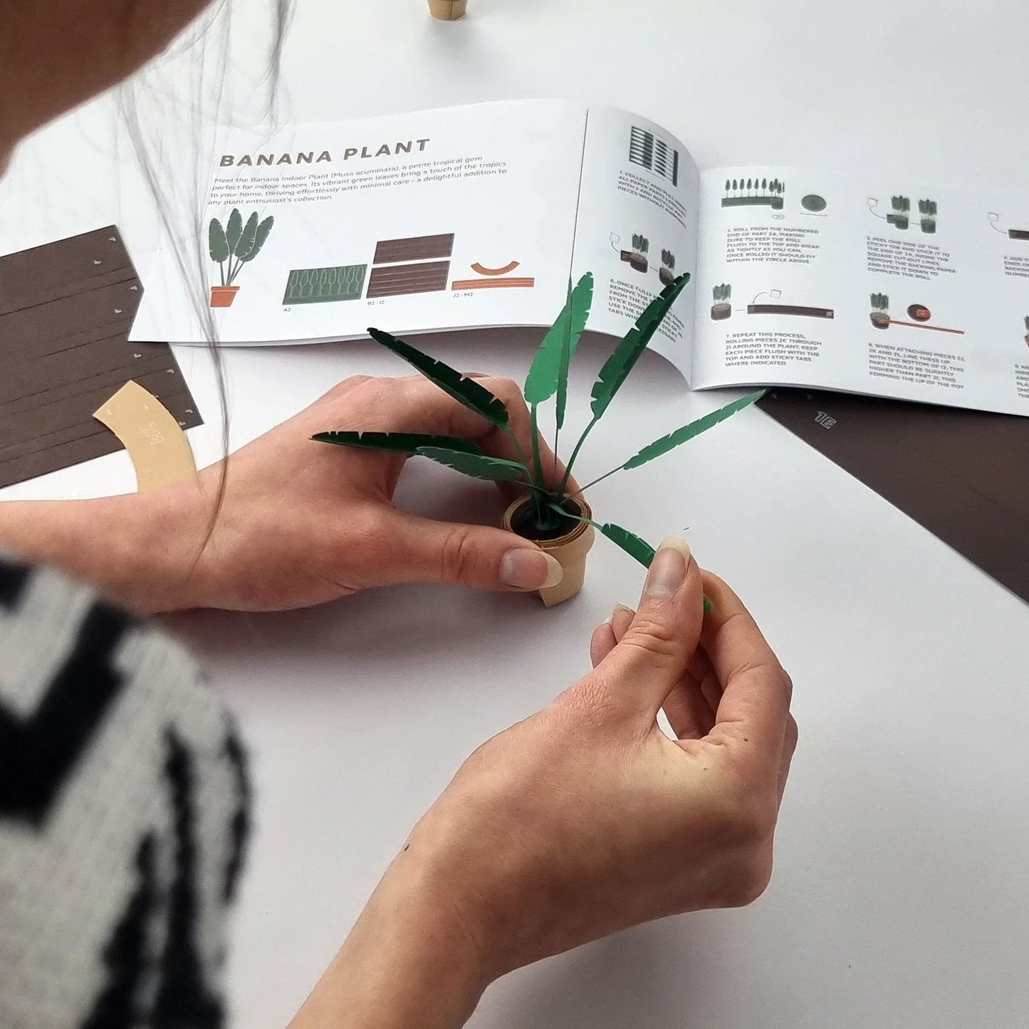 PaperPaws – A Cat Lover’s DIY Paradise