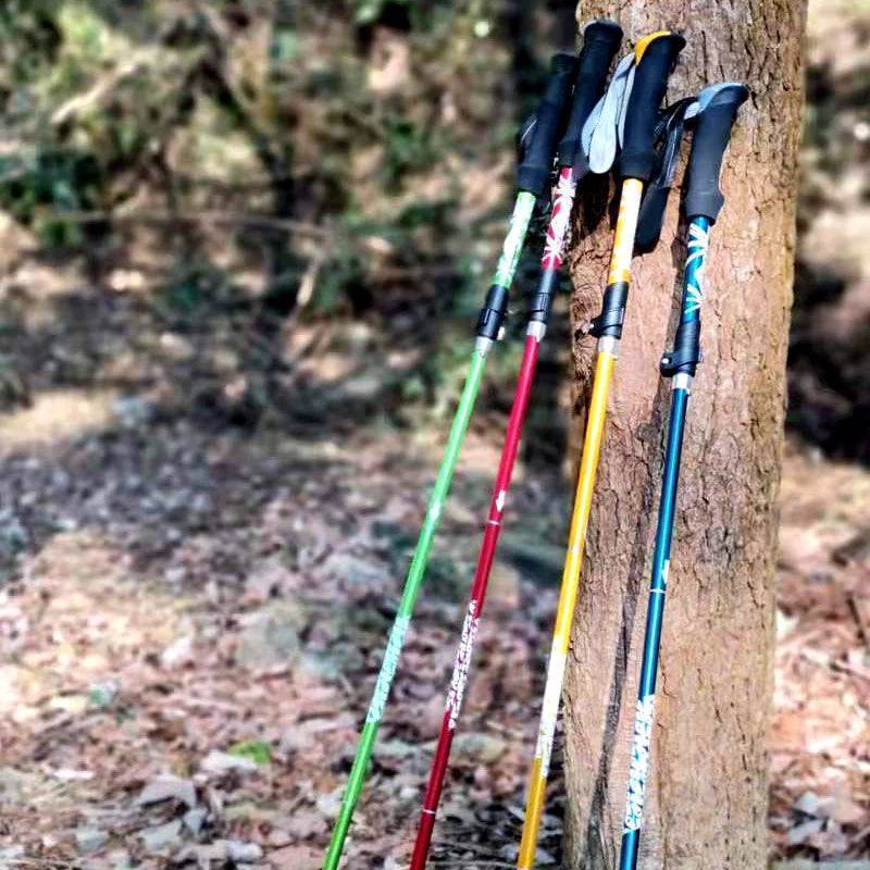 Lightweight Foldable Trekking Pole with 5 Sections for Hiking and Walking