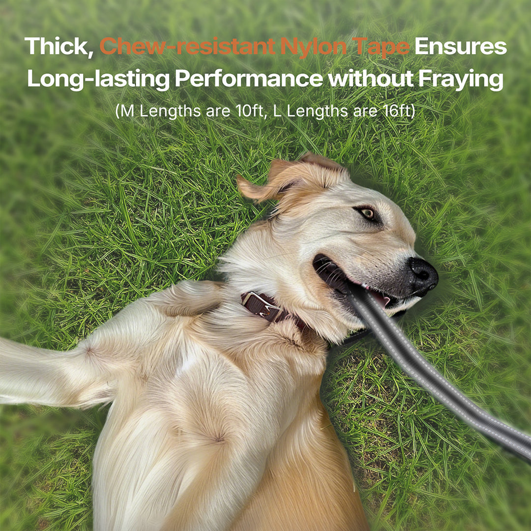 Durable Dog Leash with Retractable Design for Strong Pulling Dogs
