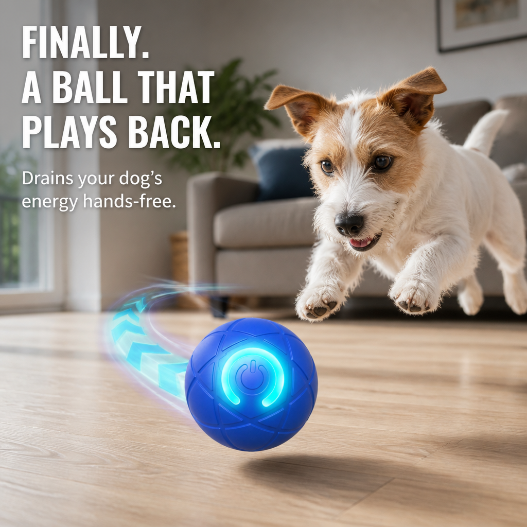 DashRoll Interactive Self-Bouncing Dog Ball Toy