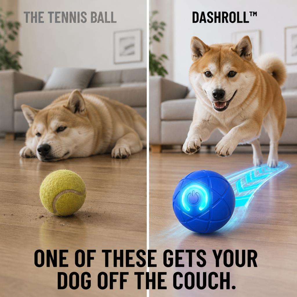 DashRoll Interactive Self-Bouncing Dog Ball Toy