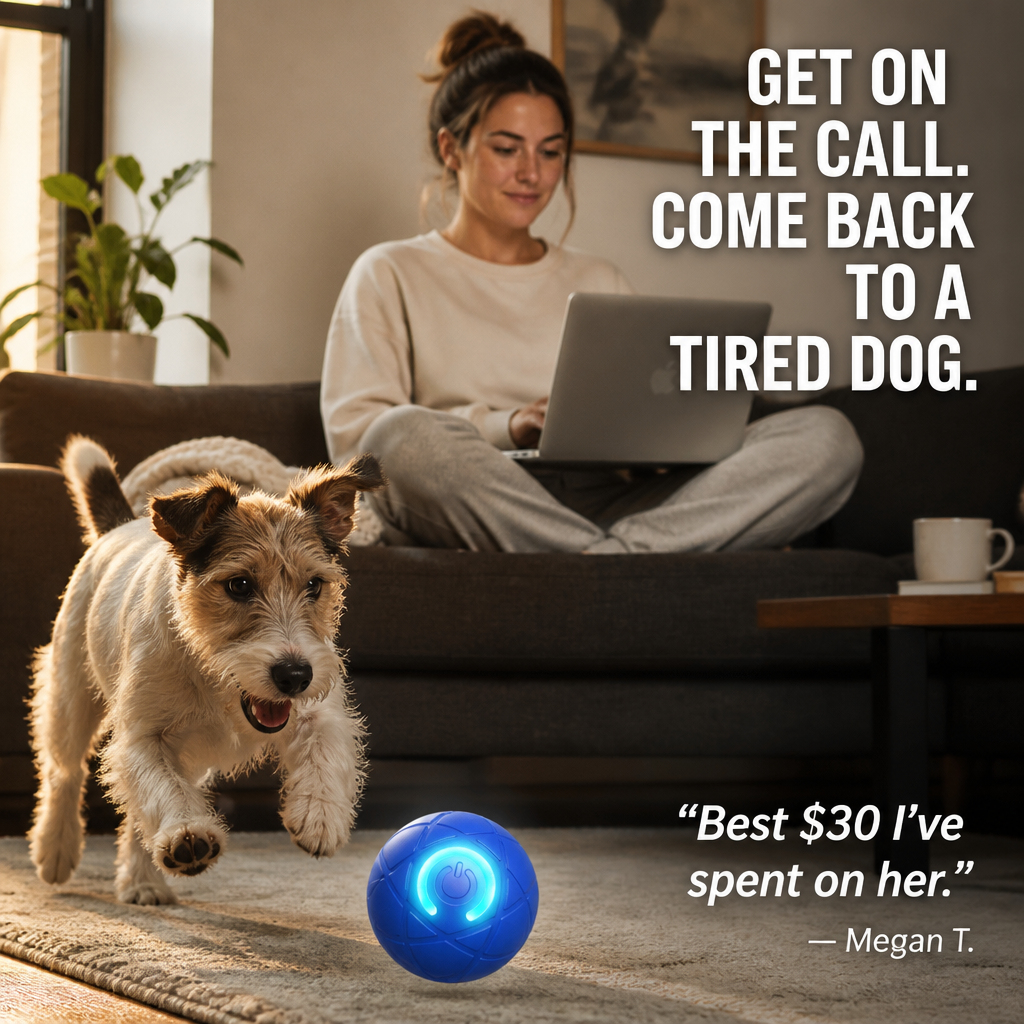 DashRoll Interactive Self-Bouncing Dog Ball Toy
