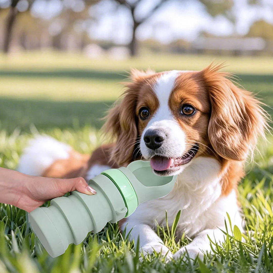 Collapsible Water Bottle for Pets – Travel-Friendly Design